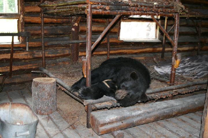 zoo 189.JPG